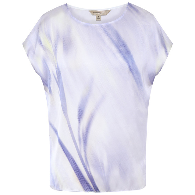 Romantic Printed Pink Blue Wardrobe 2026 Summer Women's New Style Straight Poetry Light Sensitive Raglan Sleeve Design Short-Sleeved Shirt