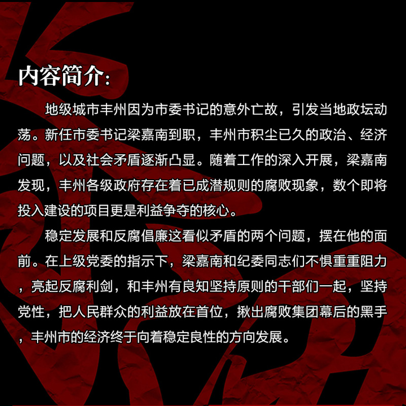 正版 脊梁小说 鲁文田胜利著 国之脊梁正能量反腐小说 正道的光洒在大地上把每个黑暗的地方全部都照亮  脊梁电视剧原著小说 - 图2