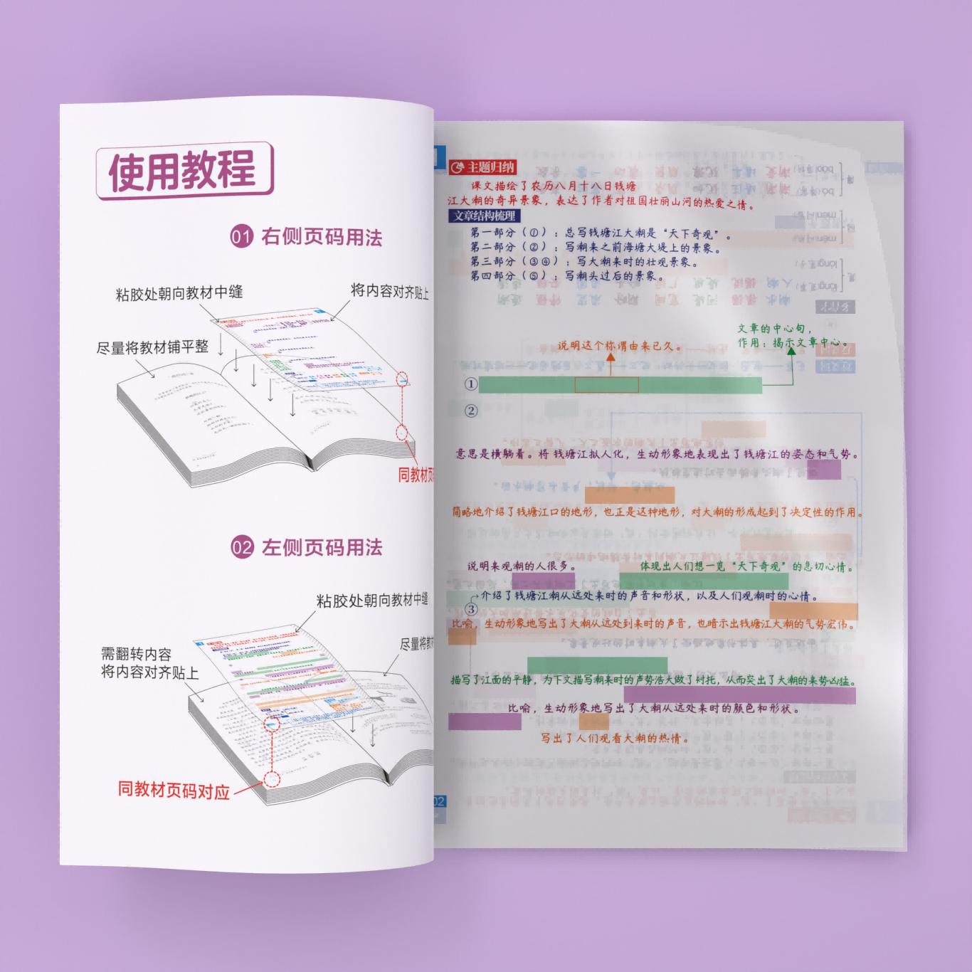 赠视频讲解】语文课堂笔记贴苏苏老师答题果果全套1-9年级上下同步教材扫码看视频人教版教材资料书一二三四五六年级 2023年版-图3