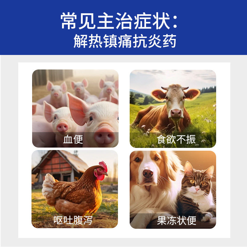 狗狗猫咪球虫血痢磺胺二甲嘧啶片兽用弓形虫驱虫药用拉稀软便拉血,淘宝优惠券,粉丝福利购,淘宝优惠卷