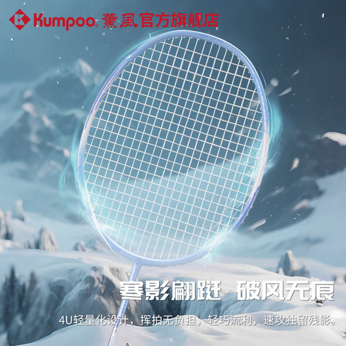 薰风新款羽毛球拍碳素纤维超轻耐打训练比赛单拍熏风Blizzard66 - 图2