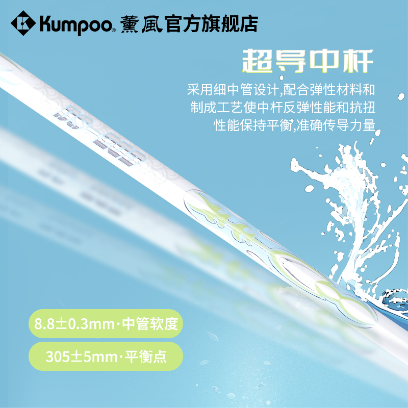薰风2025入门级5U羽毛球拍碳素纤维超轻拍专业羽拍熏风大鱼DS-203 - 图1