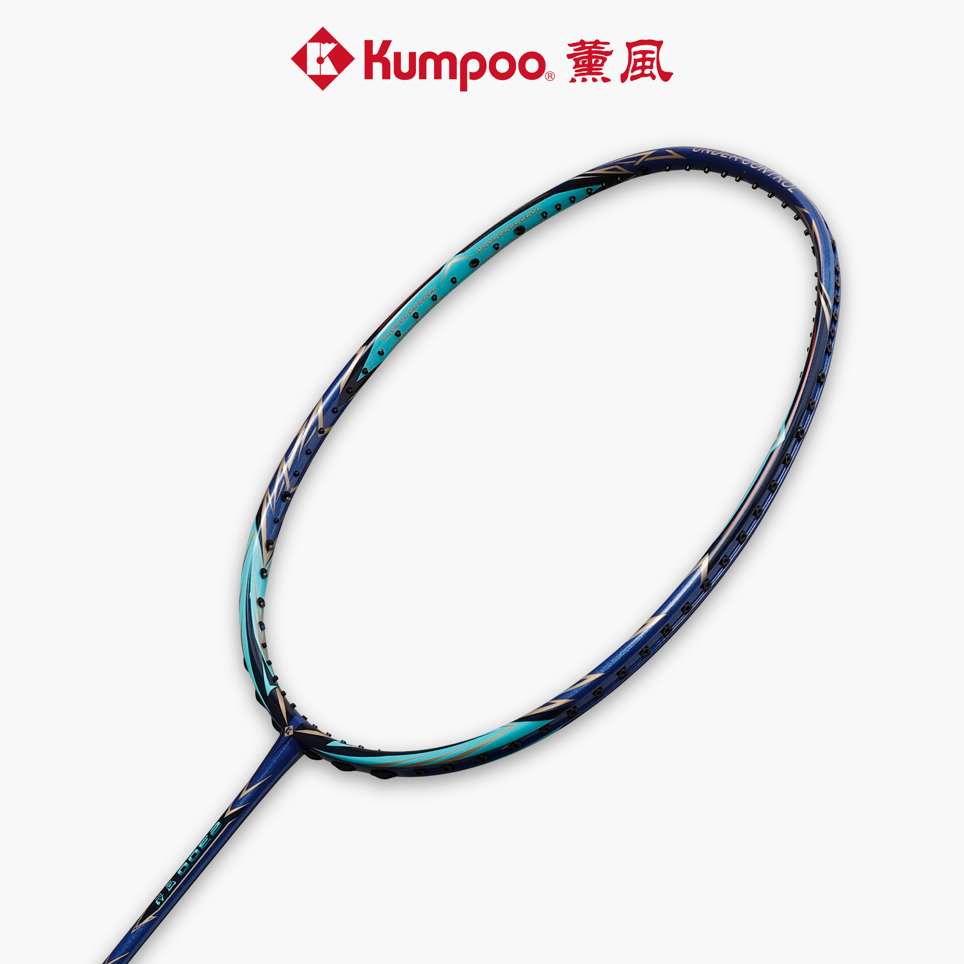 薰风新款羽毛球拍碳素超轻纳米中杆熏风国伦2300专业高磅正品单拍 - 图1