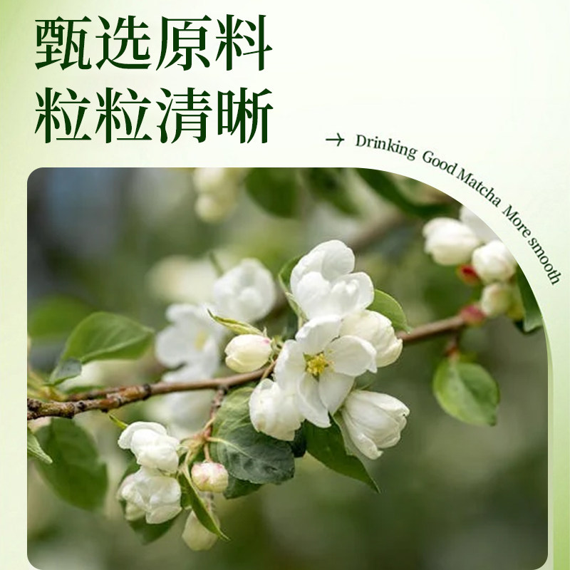 好艺元素茉莉花茶500g袋装茶叶 奶绿奶茶店一级特调绿茶茉香绿茶,淘宝优惠券,粉丝福利购,淘宝优惠卷