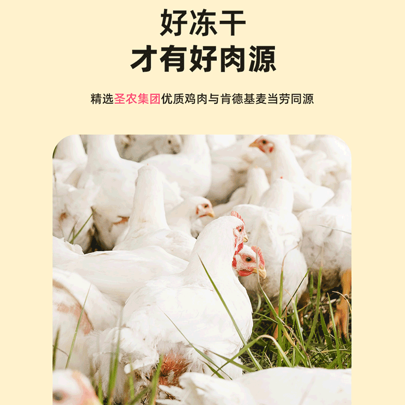 爱立方冻干生骨肉主食猫粮幼猫成猫鸡肉兔肉鹌鹑增肥发腮猫狗零食,淘宝优惠券,粉丝福利购,淘宝优惠卷