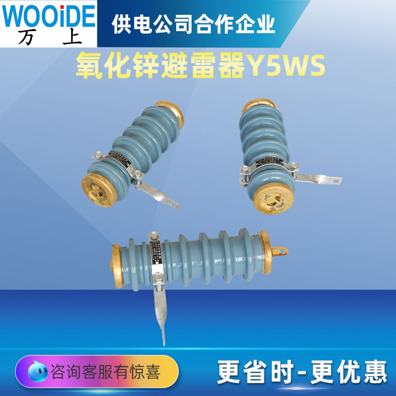 可卸式避雷器HY5WS-17/50DL-TB户外可拆卸10KV-12KV跌落式避雷器 - 图2