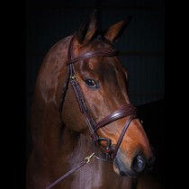 Water Le Belgian dyon water Le Bull Leather Water Le Saddle Accessories Horse With a horse with a horse