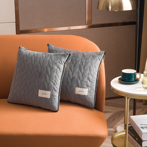 高级抱枕被子二合一丝绒轻奢抱枕被子两用加厚汽车靠垫沙发午睡枕 - 图0