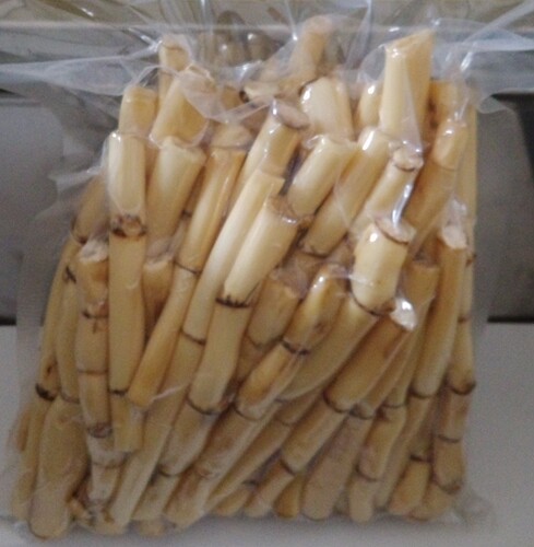 新鲜芦根野芦苇根鲜现挖苇子根凉茶食材另售有白茅根竹蔗芦根包邮 - 图0