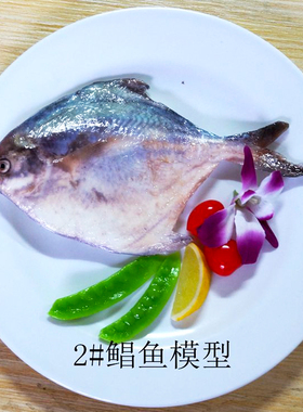 道具橱窗食物套餐模型摆件