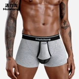 Драконки Дракона в Vitality отделяется от мужских ружков нижнего белья, мошонки -мошонки, карманов, четырехугольников, одной комнаты, одной зал, дышащей и влажности