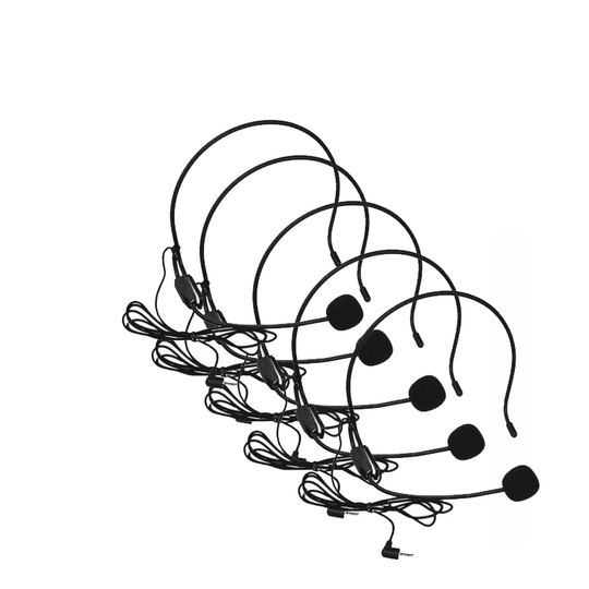 Dailer headset little bee teacher tour guide loudspeaker