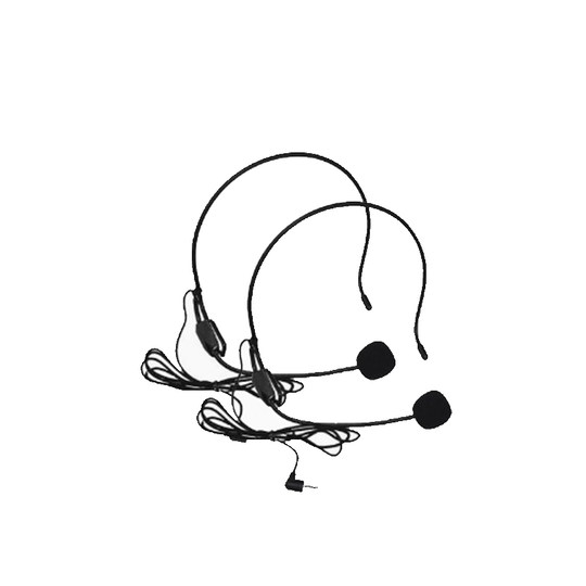 Dailer headset little bee teacher tour guide loudspeaker