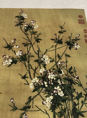 郎世宁锦春清代宫廷画家卷轴