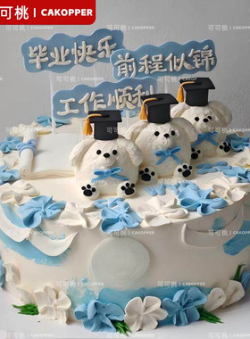 网红蛋糕插牌乘风破浪创意帆船摆件模型小学学生毕业烘焙装饰物件