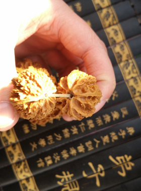 花呗11籽手串纯野生山核桃绣球把玩文玩核桃健身京八棱多刺保正圆
