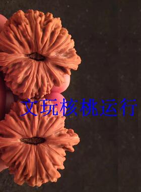 45mm四座楼狮子头文玩把玩核桃老树果红皮压手圆润流水纹精选平谷