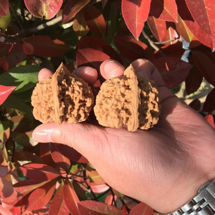 3号涞水麻核桃文玩把玩46mm麒麟纹王勇官帽手把件自然桩压手厚实,淘宝优惠券,粉丝福利购,淘宝优惠卷