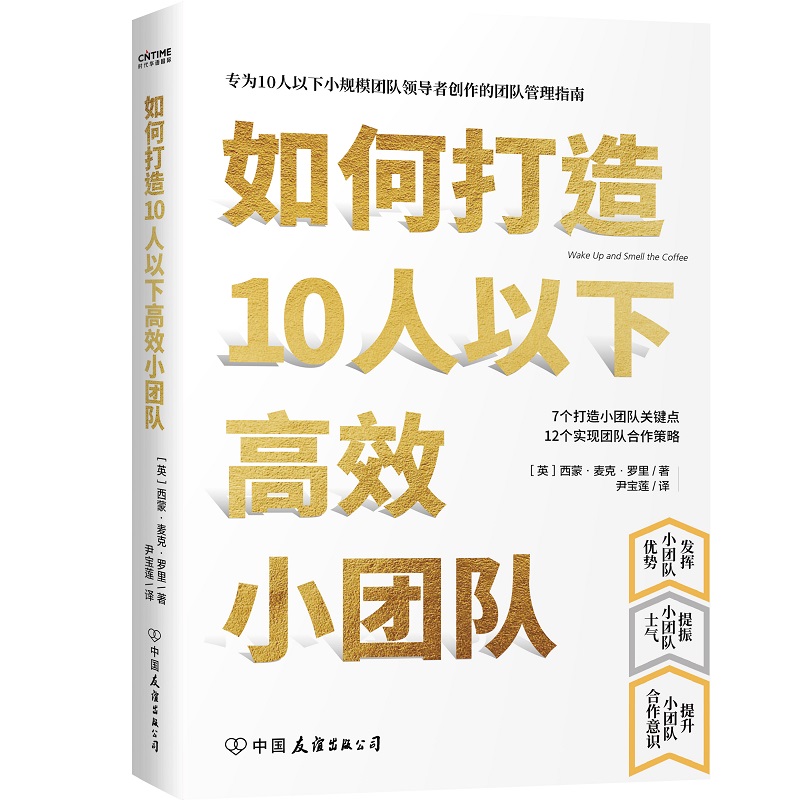 【当当网 正版】 如何打造10人以下小团队（专为新晋和中层管理者量身打造的小团队管理实用手册） - 图0