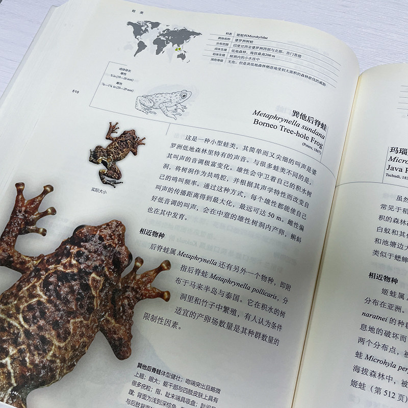 【当当网】蛙类博物馆(英)蒂姆·哈利迪 博物文库 自然博物馆丛书 蛙类学者联手巨献 600幅地理分布图 北京大学出版社 正版书籍