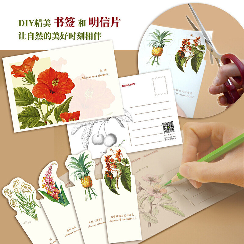 英国皇家学会植物分类指南75科园艺 折后 85 4元 英国皇家学会植物分类指南75科园艺 折后 85 4元