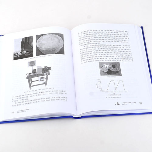 当当网 水泥基材料中氯离子的传输及相互作用 史才军 化学工业出版社 正版书籍 - 图2