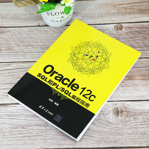 当当网 Oracle 12c SQL和PL/SQL编程指南 程序设计 清华大学出版社 正版书籍 - 图2