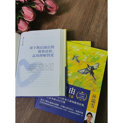 当当网 正版书籍   捕捉儿童敏感期新版2024 孙瑞雪 （精装珍藏版）孙瑞雪捕捉儿童敏感期 育儿百科正面管教正版 养育男孩 正版 - 图2