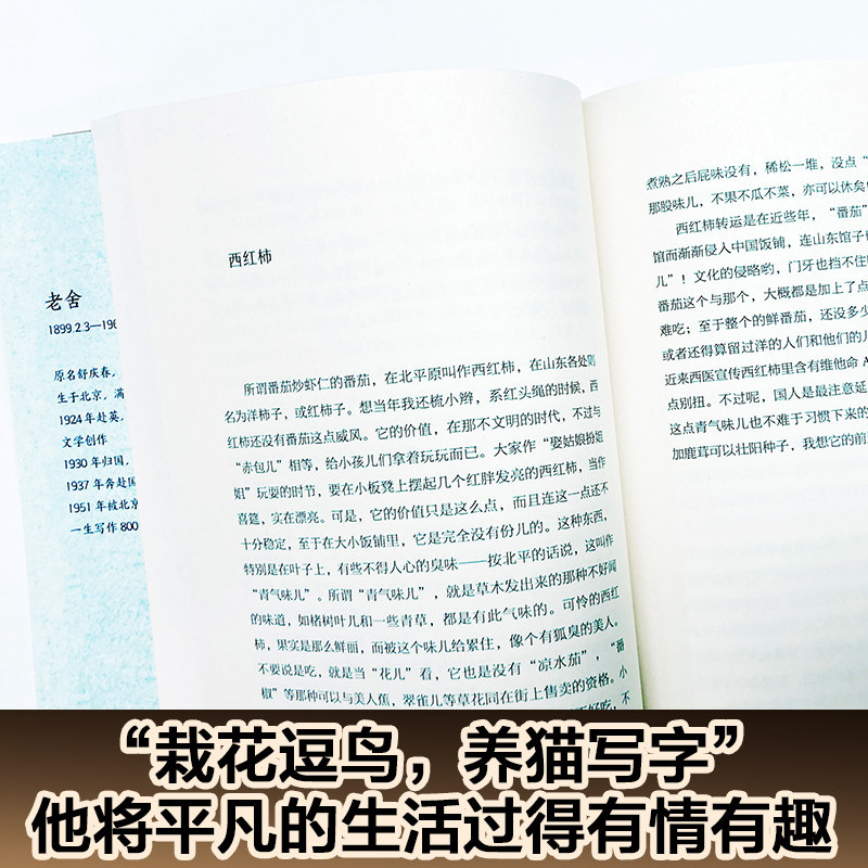 老舍散文 新旧版本随机发 汪曾祺、王朔极力推崇的语言大师，优美典藏版，精选老舍64篇经典散文）,淘宝优惠券,粉丝福利购,淘宝优惠卷