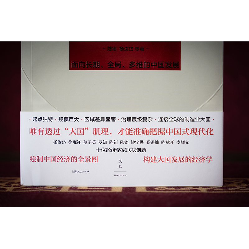 大国经济学：面向长期、全局、多维的中国发展（系统解读中国经济的通识之作，陆铭、杨汝岱等十位一流经济学家协力打造，构建理 - 图3