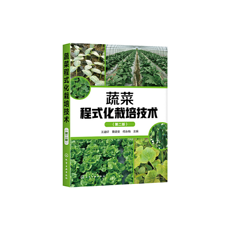 当当网 蔬菜程式化栽培技术（第二版） 王迪轩 化学工业出版社 正版书籍 - 图0