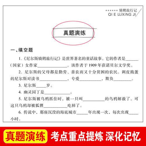 当当网尼尔斯骑鹅旅行记六年级下册快乐读书吧六年级课外阅读鲁宾逊漂流记中小学儿童文学名著阅读无障碍阅读彩插本-图3