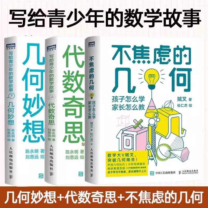 当当网 不焦虑的数学系列:数学+几何+函数套装共3册 从中考到高考孩子怎么学家长怎么教数学之美这样学原理书籍数学入门 正版书籍