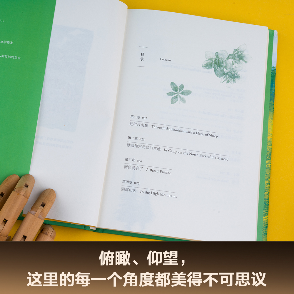 【当当网 正版书籍】夏日走过山间 20世纪自然文学创作开道者约翰·缪尔倾情之作 美洲植物学专家 果壳达人专业审读 新老版随机发 - 图3