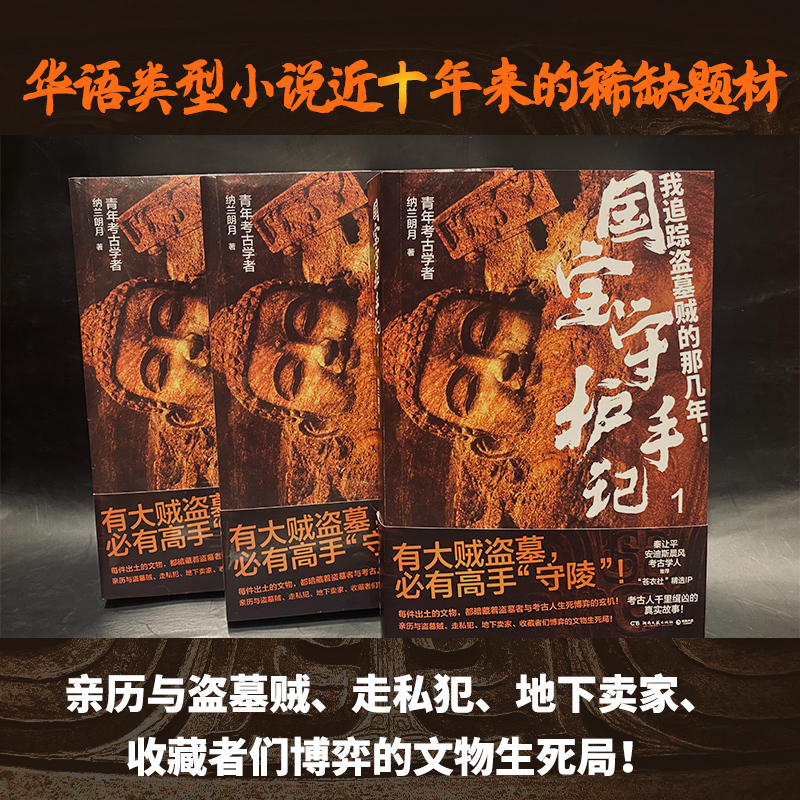 当当网 国宝守护手记1 纳兰朗月著【系列第一册】纳兰朗月6起 特大文物重案考古人与盗墓者永无休止的生死博弈 悬疑小说正版书籍 - 图2