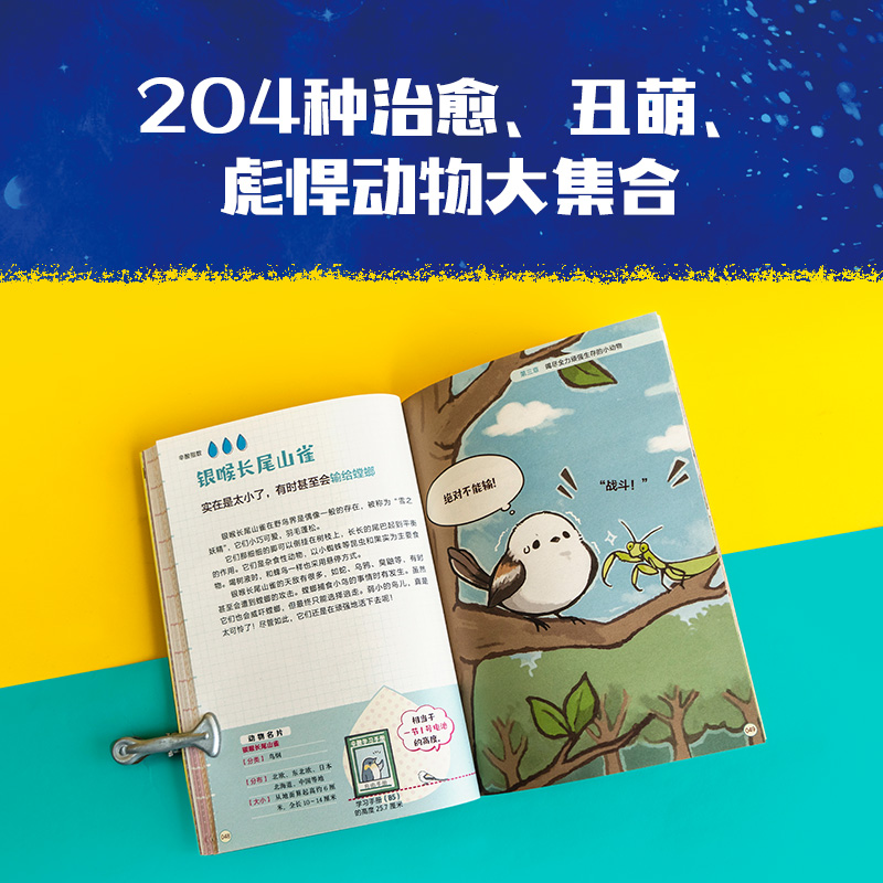 笑死人的进化（共3册）红爆小学圈，204种身怀绝技的奇葩动物，让人目瞪口呆的搞笑技能，一口气搞懂生命进化的秘密 - 图0