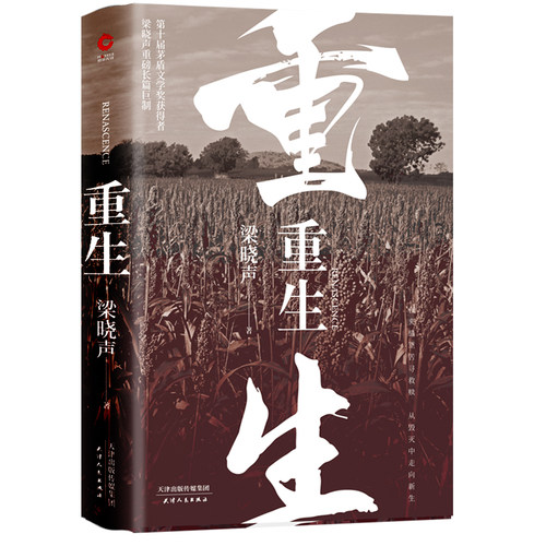 当当网 梁晓声2020长篇小说（重生+觉醒）第十届茅盾文学奖、热映电视剧《人世间》原著作者 - 图2