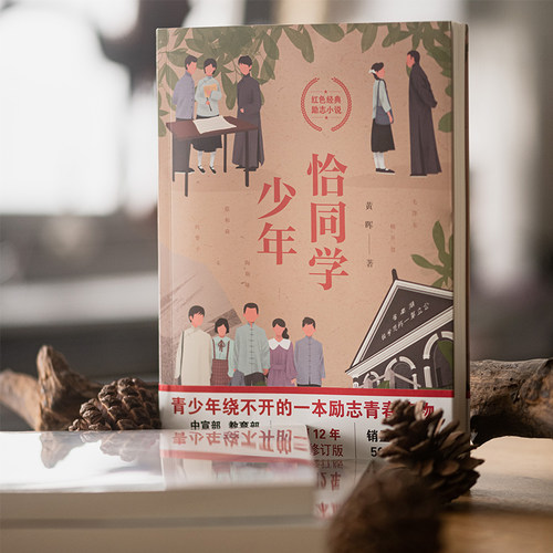 当当网 恰同学少年 黄晖著 写透青年伟人背后的故事追寻伟人思想的形成过程 励志青春书中小学生课外阅读五六年级中国励志成长小说 - 图2