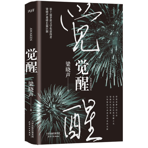 当当网 梁晓声2020长篇小说（重生+觉醒）第十届茅盾文学奖、热映电视剧《人世间》原著作者 - 图1