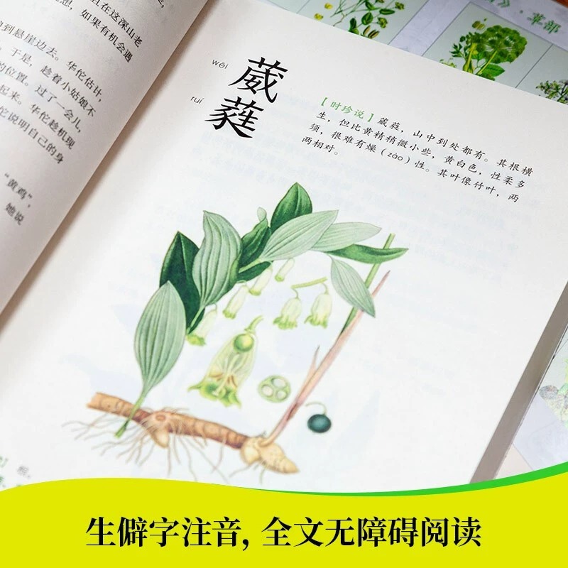 当当网 陪孩子读本草纲目 全2册全彩有声版 生僻字注音 孩子认识中医的启蒙之书 集本草精华专为孩子打造的本草启蒙读物 正版书籍 - 图3