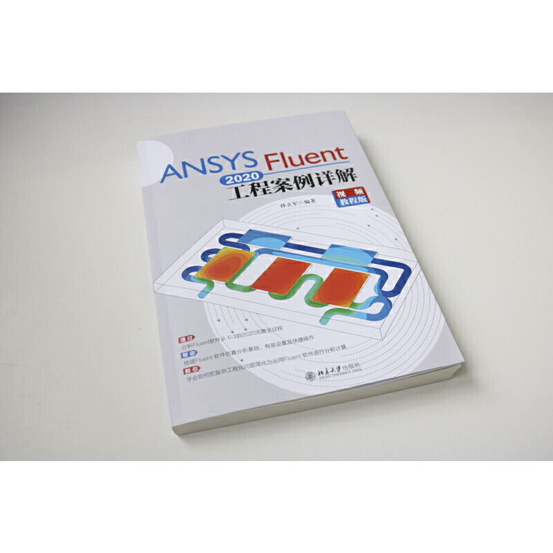 ANSYS Fluent 2020工程案例详解（视频教程版） - 图2