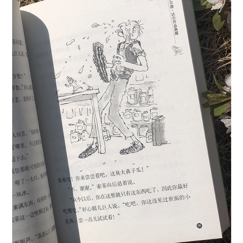 当当网正版童书 罗尔德·达尔作品典藏 好心眼儿巨人8-10-11-12岁圆梦巨人 儿童读物经典童话故事三四五六年级小学生课外阅读书籍,淘宝优惠券,粉丝福利购,淘宝优惠卷