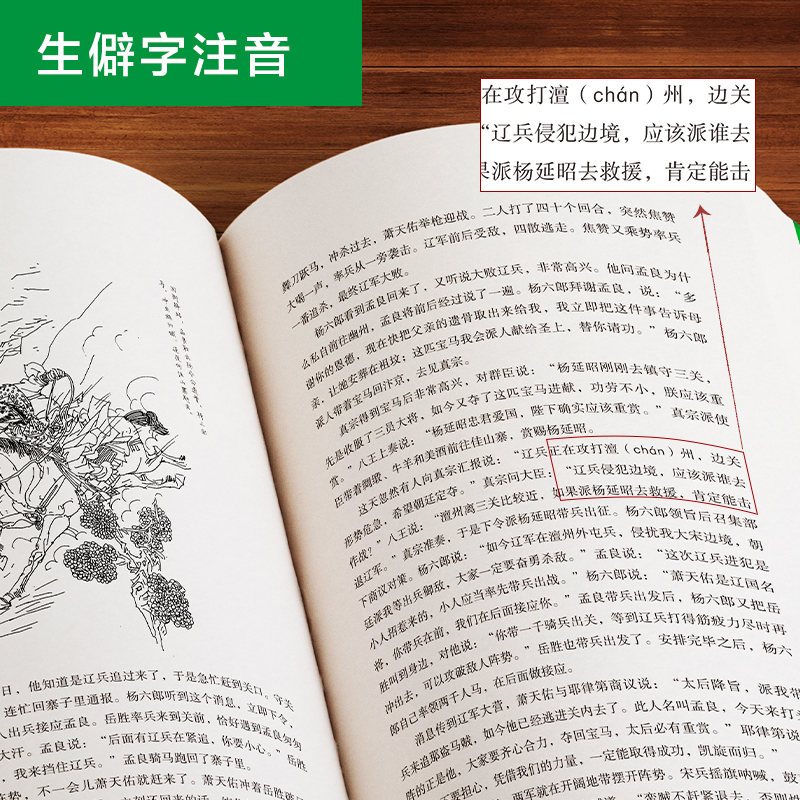 【当当网 正版书籍】杨家将 青少版插图本 课外阅读 畅销5周年新版修订 好评如潮 - 图2