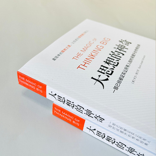 当当网 大思想的神奇：一部已经被证实让所有人短时间提升的传奇经典 大卫·舒尔茨； 中国青年出版社 正版书籍 - 图1