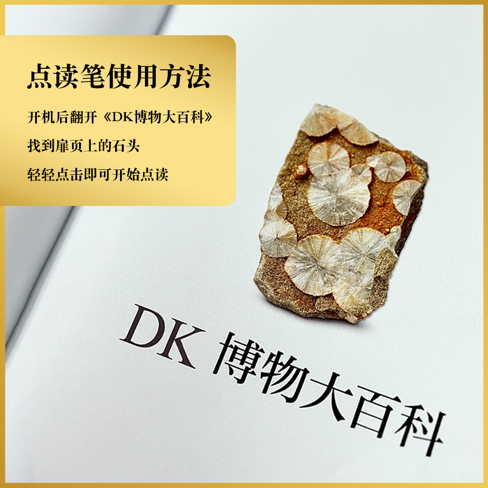 当当网童书 DK博物大百科（2025全新修订版）中文正版科普儿童百科全书恐龙小学课外阅读书籍图书6-7-8-9-10岁一二三四五六年级 - 图3