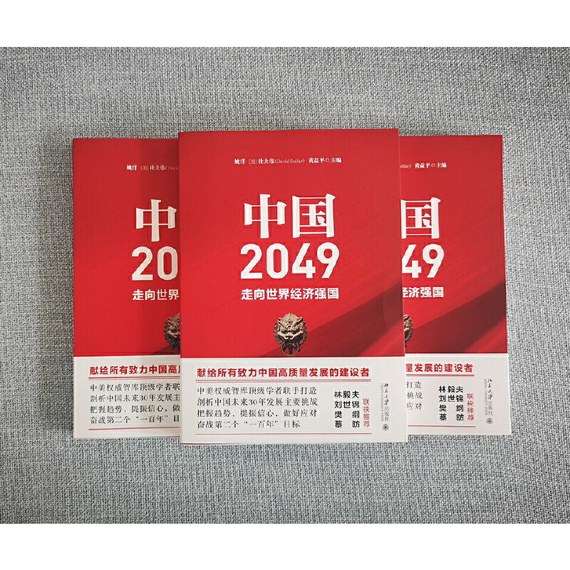 【当当网直营】中国2049：走向世界经济强国剖析我国未来30年经济发展的主要挑战北京大学出版社正版书籍-图2