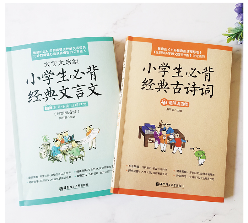 当当网 小学文言文阅读与训练3-6年级人教版阅读强化训练120篇小学生经典文言文启蒙起步入门必背古诗词小古文 小升初文言文背诵 - 图1