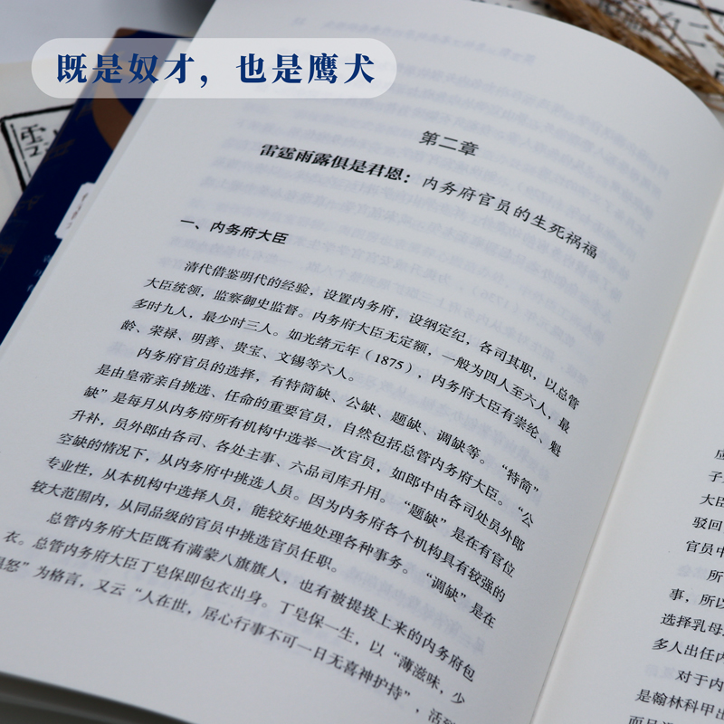 当当网 经纬度丛书·大清内务府：从帝王的家奴到鹰犬 浙江人民出版社 正版书籍 - 图2