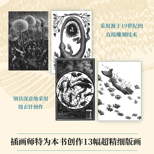 当当网 【赠2张明信片】鱼不存在 露露·米勒作品 斯坦福大学22级新生阅读诗意又博学的生命意义美国公共广播电台2020年度畅销图书 - 图3