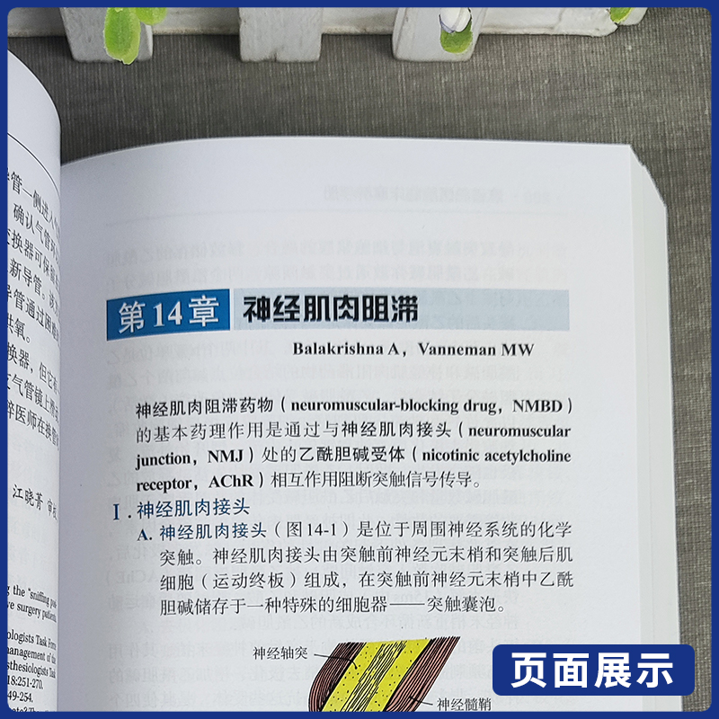 当当网新版麻省总医院临床麻醉手册 原书第10版 第十版 中文翻译版 王俊科 医生实用临床现代麻醉学书籍摩根手术护理学米勒麻醉 - 图0